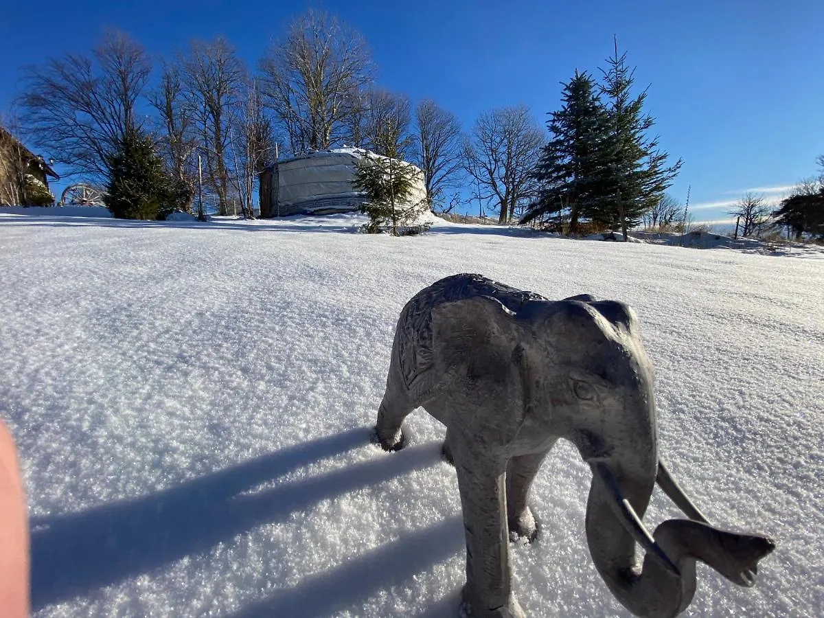 Luxury tent Eco Yourte Les Airelles Saint-Antheme