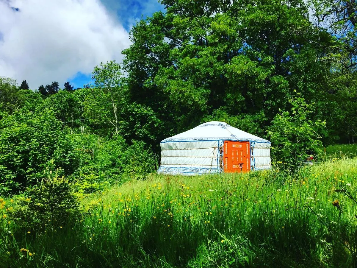 Eco Yourte Les Airelles Saint-Antheme